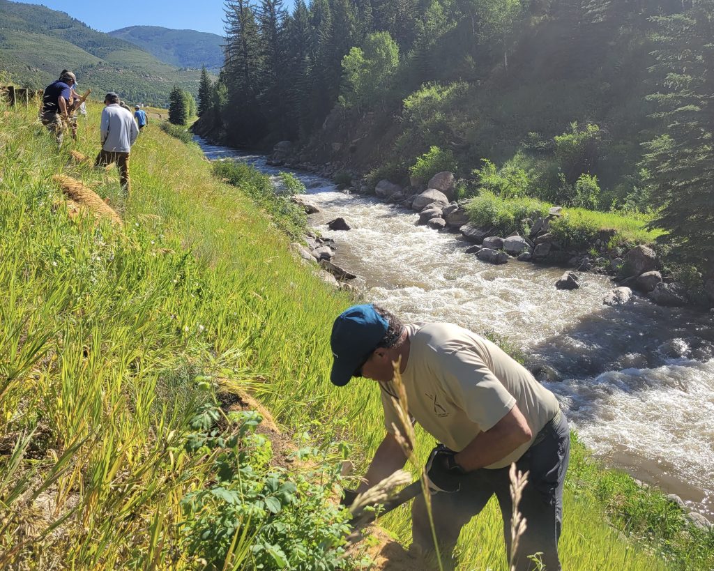 Eagle River Watershed Council: Let's talk about non-point source pollution - Vimarsana News